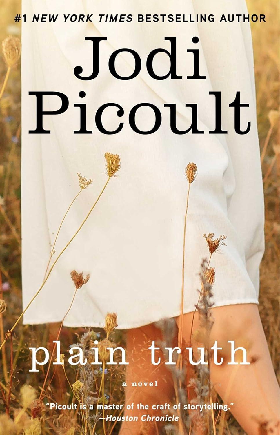 Plain Truth: A Novel Kindle Edition